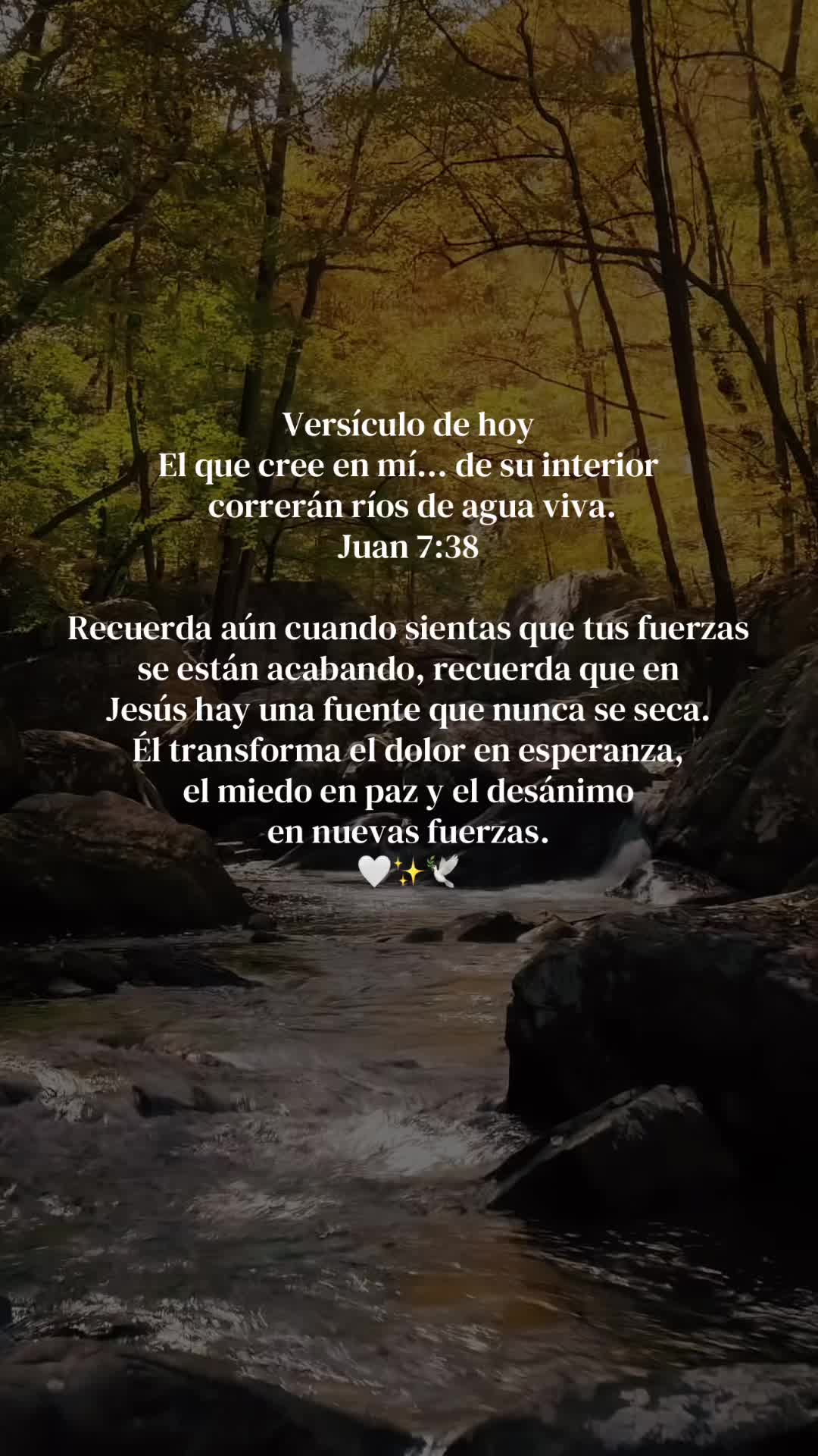 @Aleluya