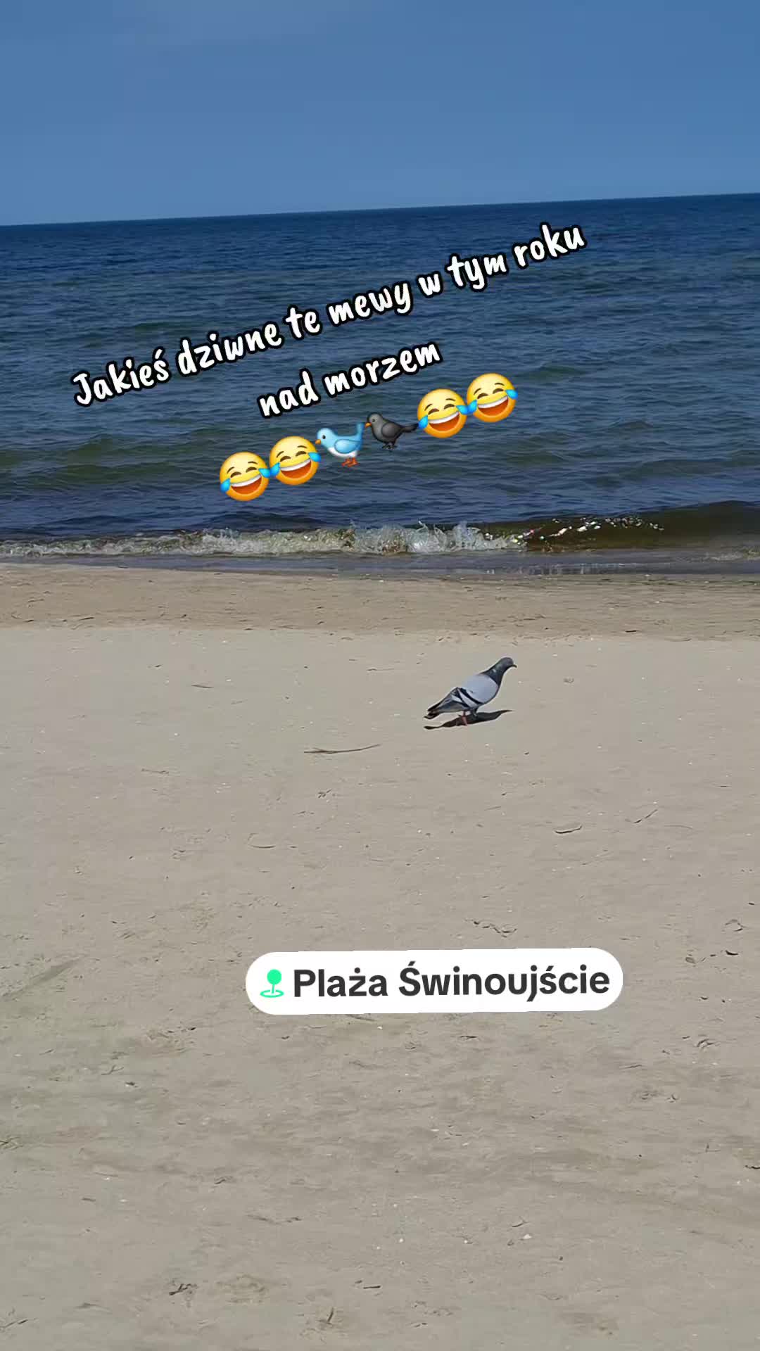 @𝓐𝓵𝓲𝓷𝓪💕
