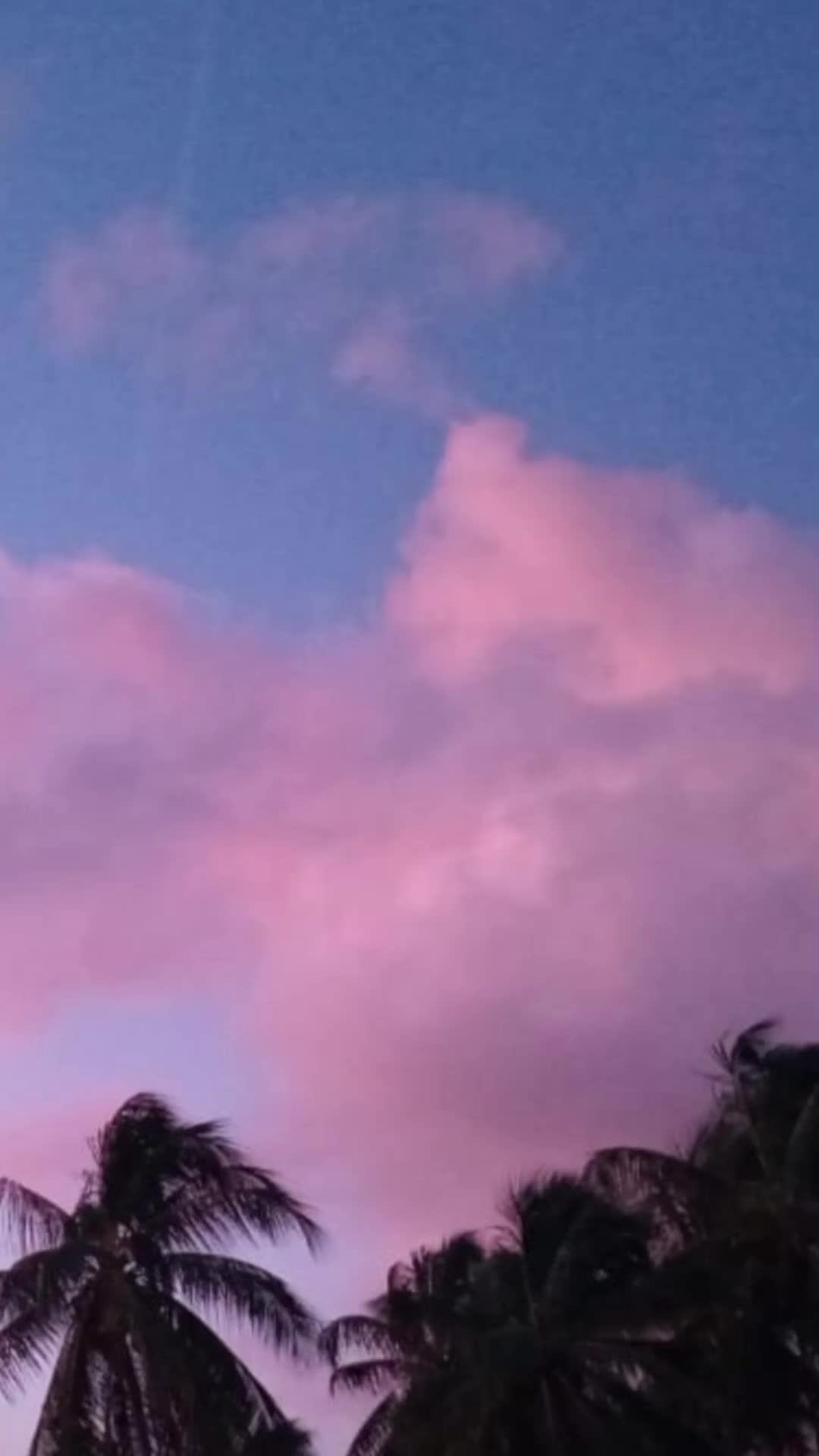@Soulsongs291💖