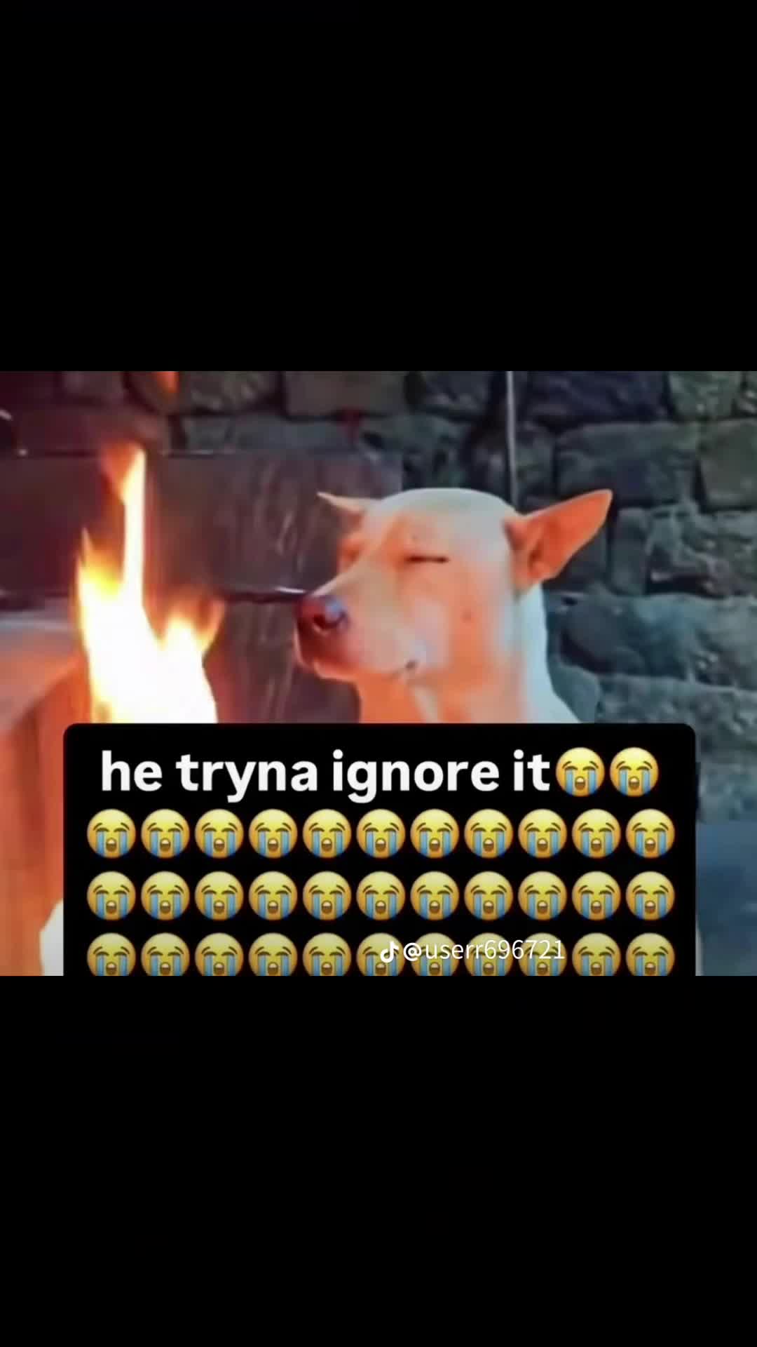 @mysteriousandawesomegirl