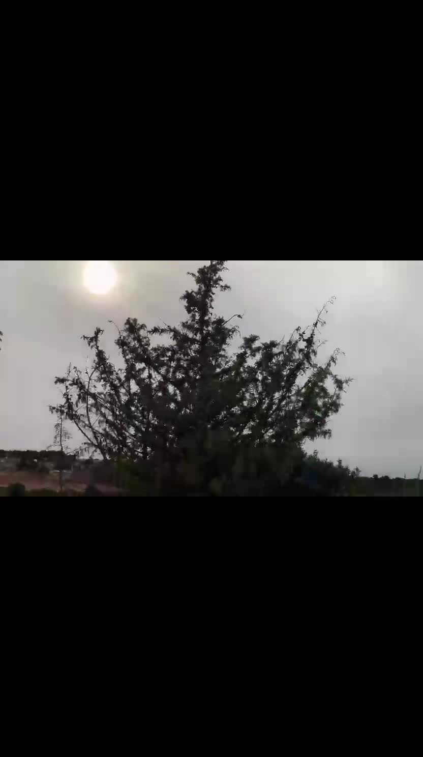 @أحميدة الزايدي