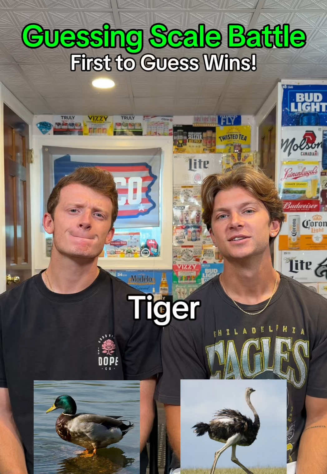 @extrahighlandbros