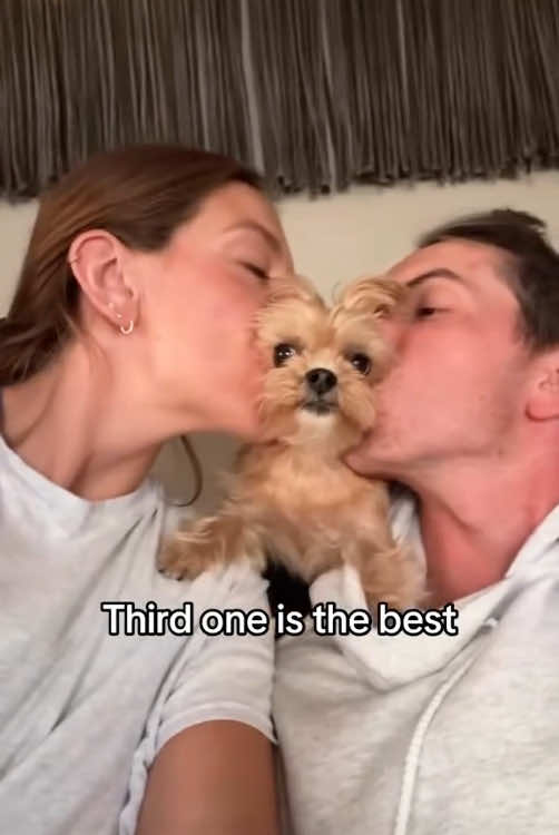 @Funny dogs 226