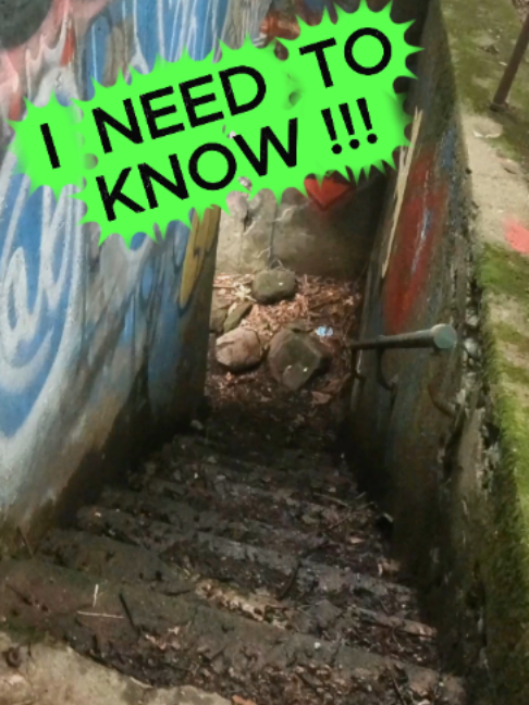 @DD Explores