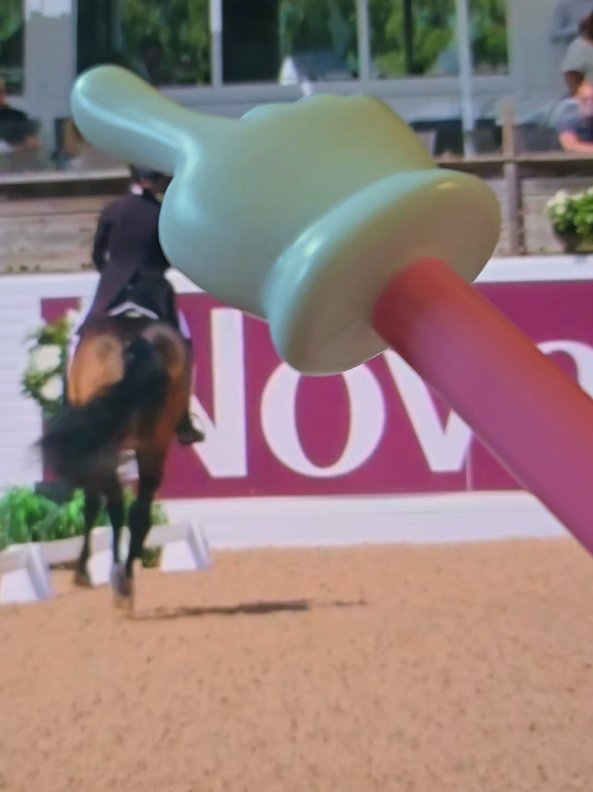 @DressageHub