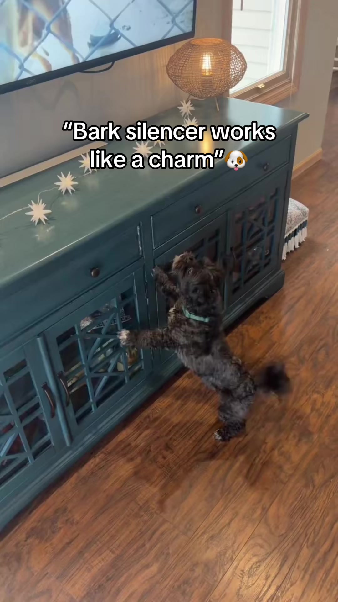 @topfoxdeals