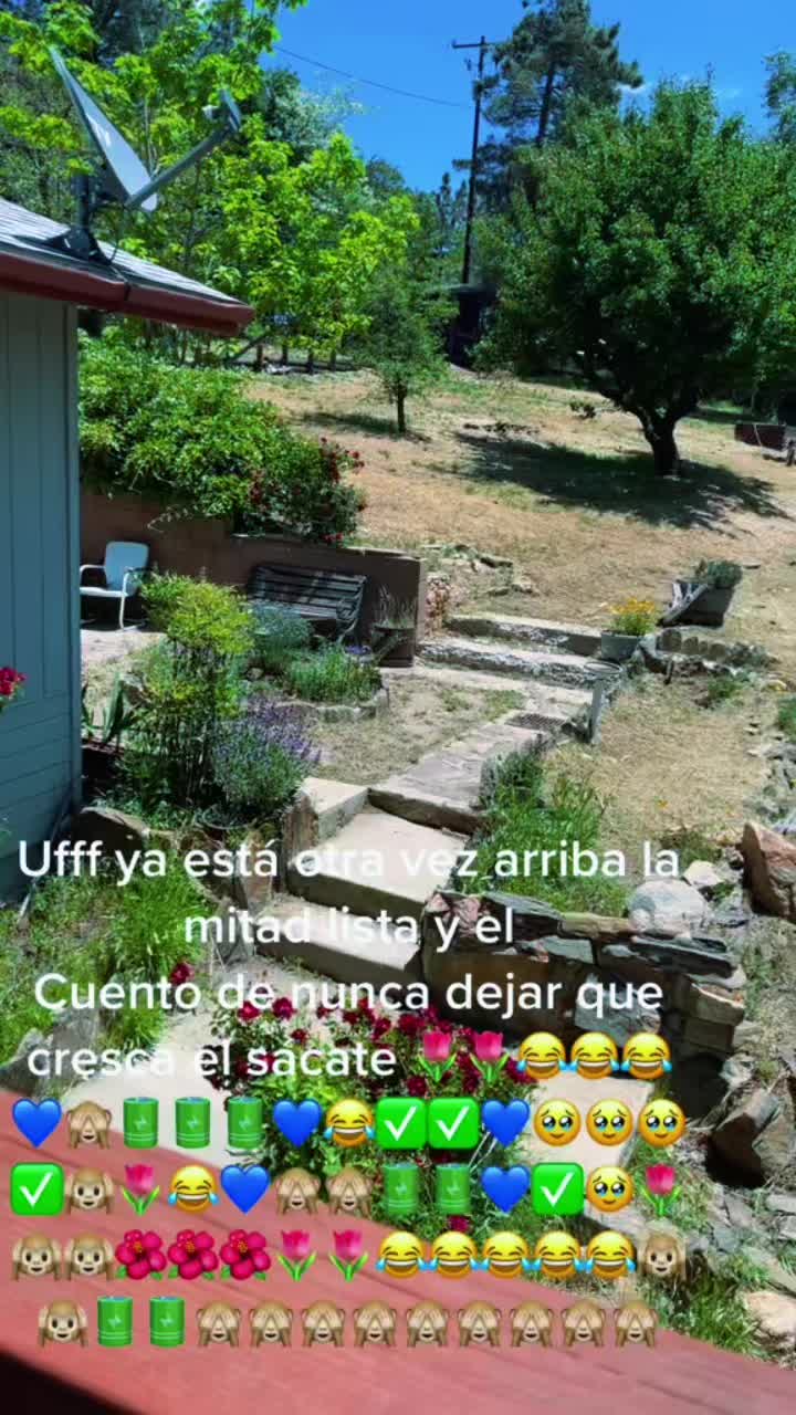 @Lareinadelosparchesvlogs