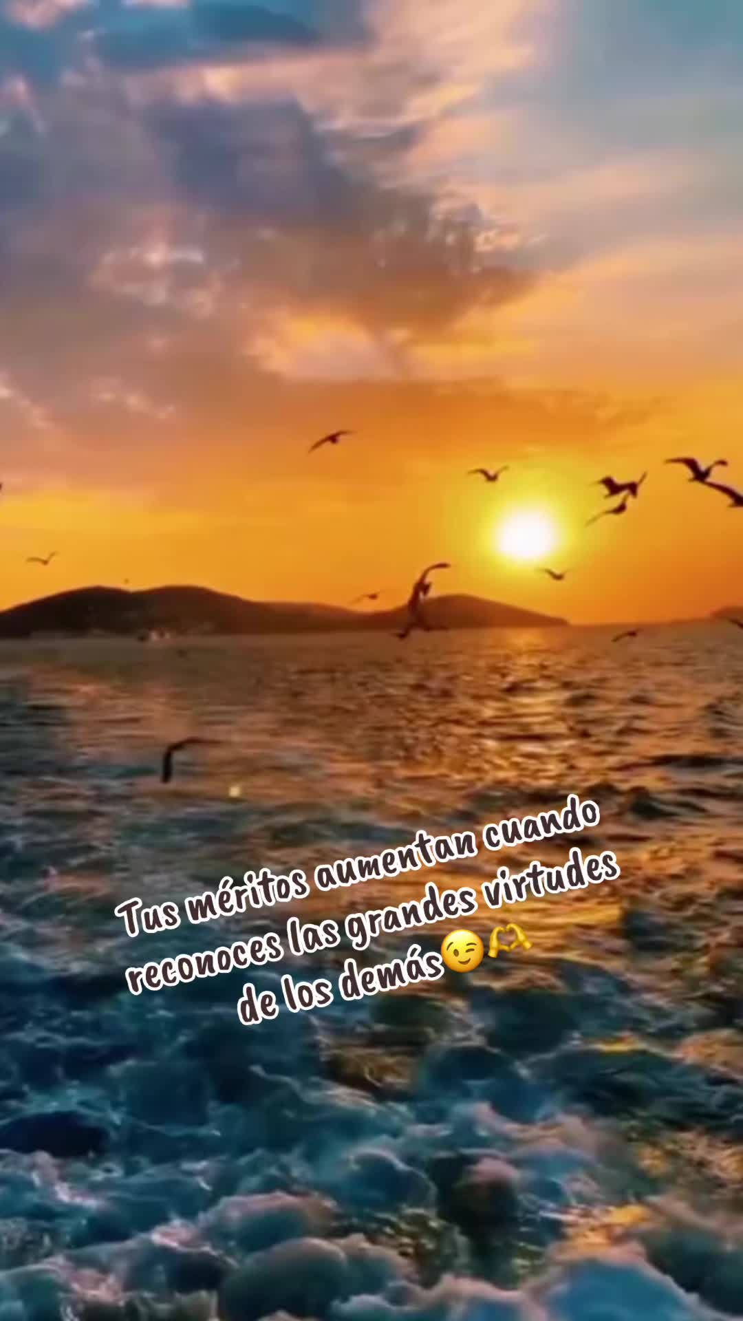 @Nayla Martinez