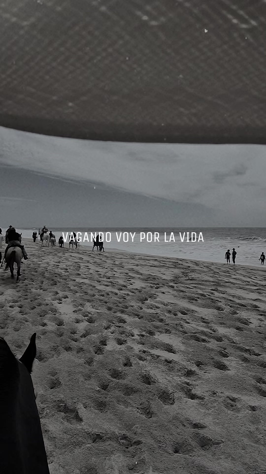 @Tavo Molina