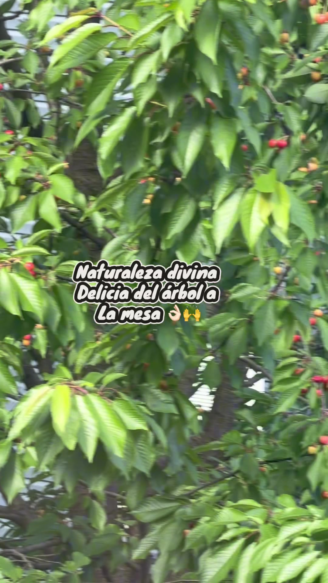 @Elidetodounpoco