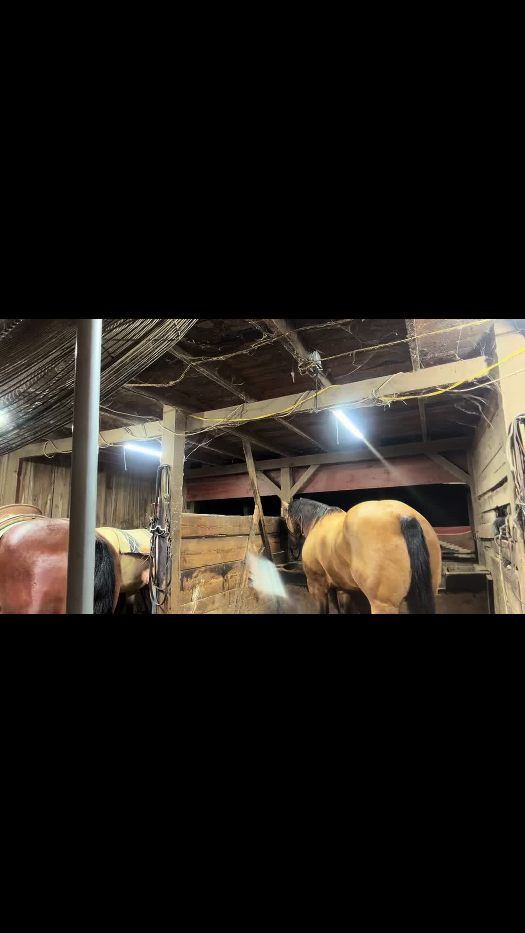 @Ruether Ranch