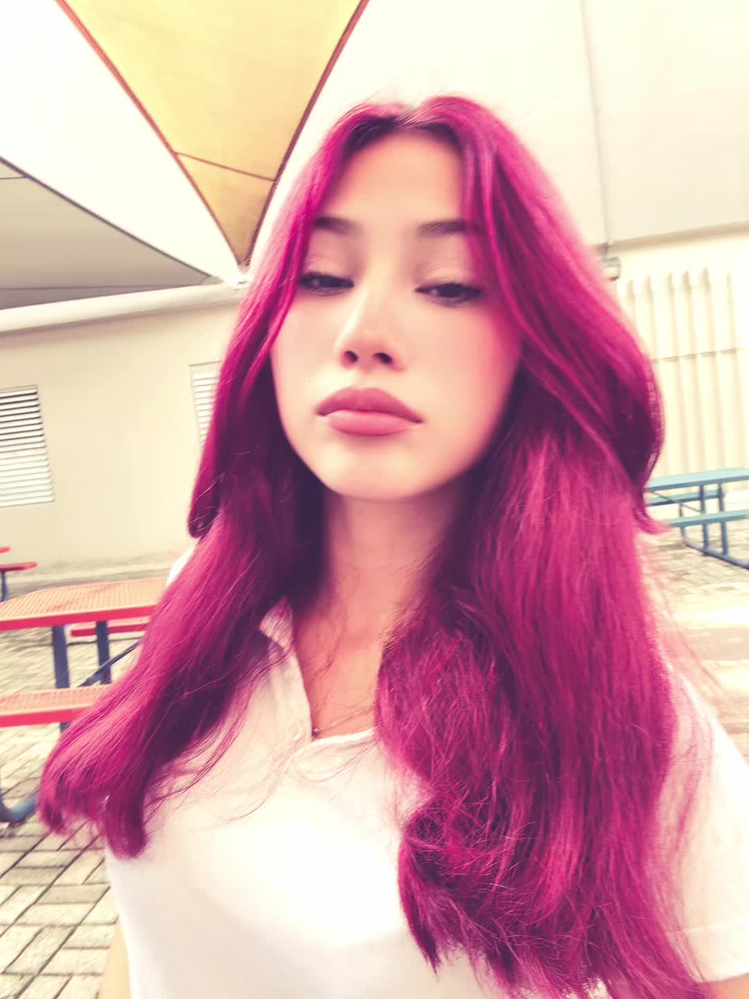 @🌸Erika✨