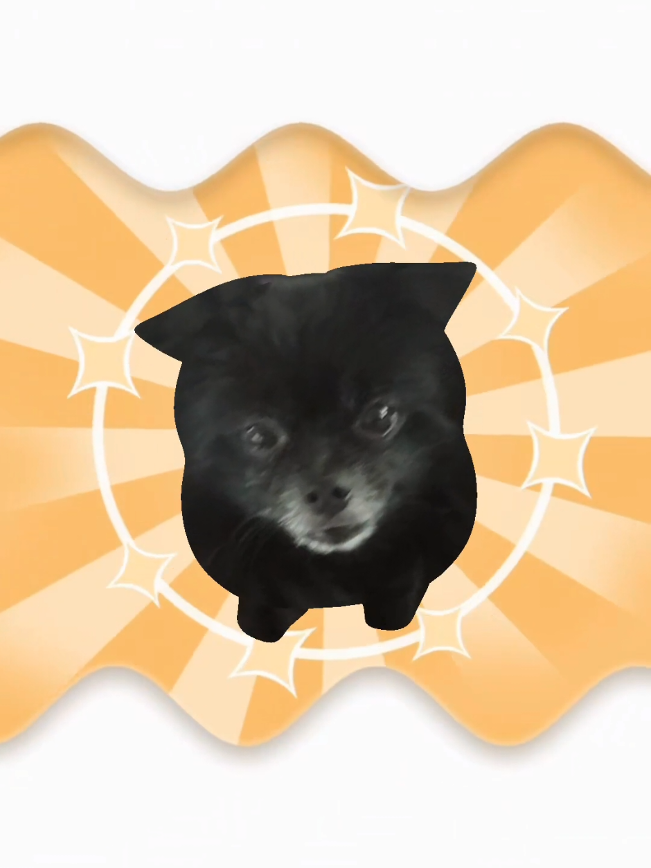 @Doki Bailey