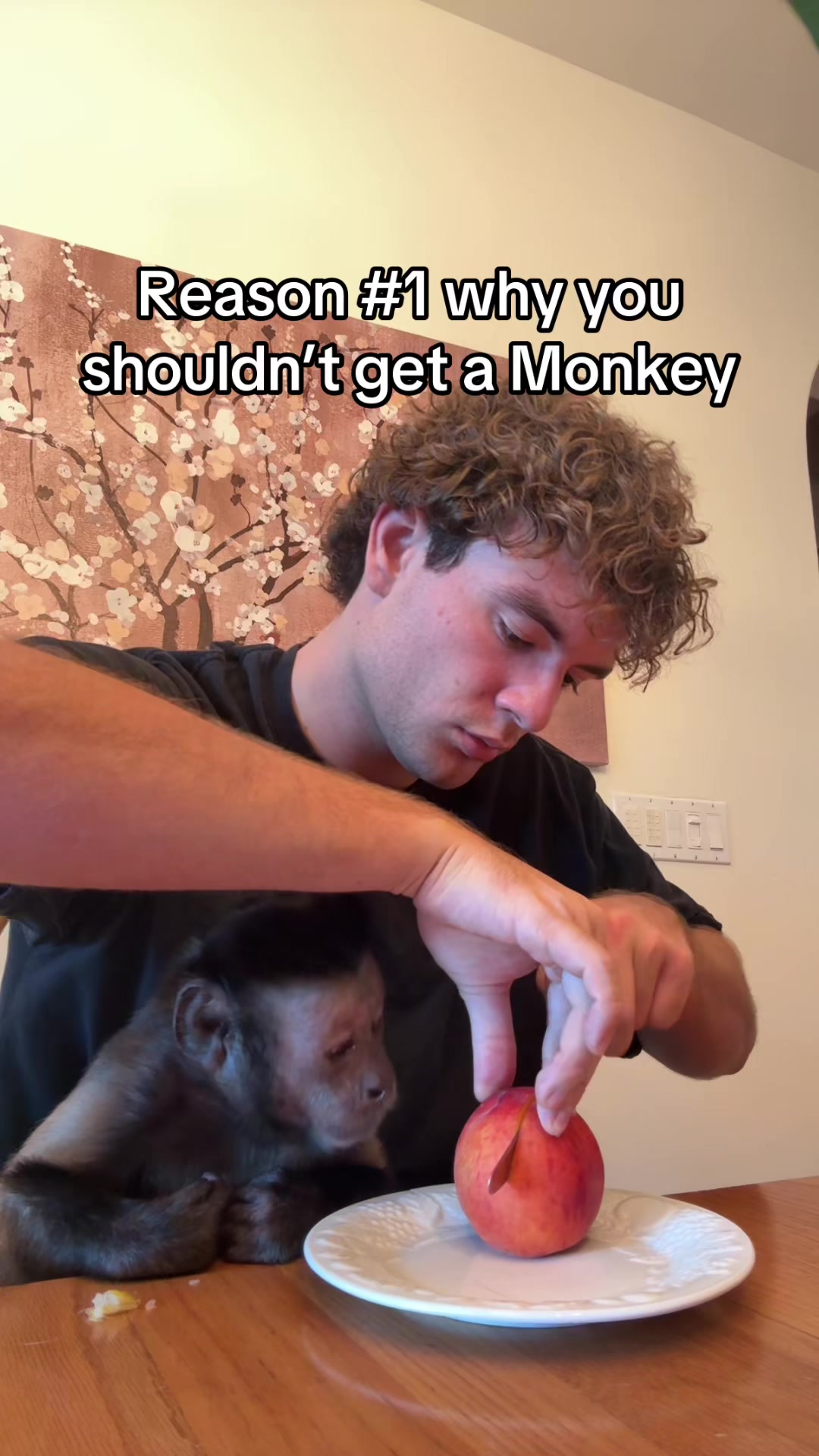 @dexthemonkeyy