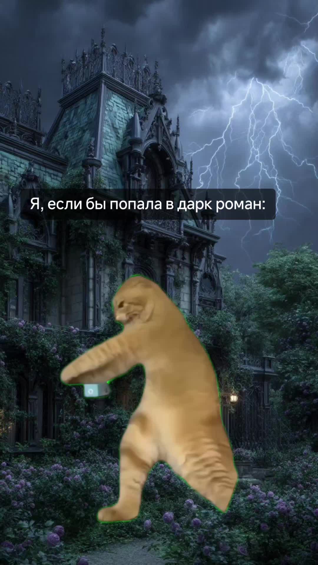 @Айрис Торн 📚 Писатель