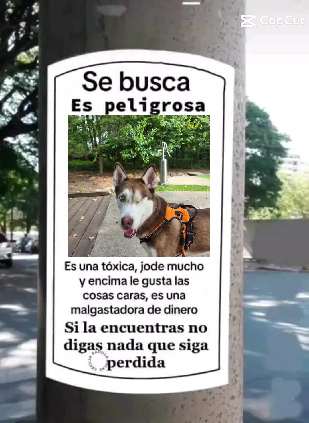 @𝗹𝘂𝗻𝗶𝘁𝗮🐕🐾