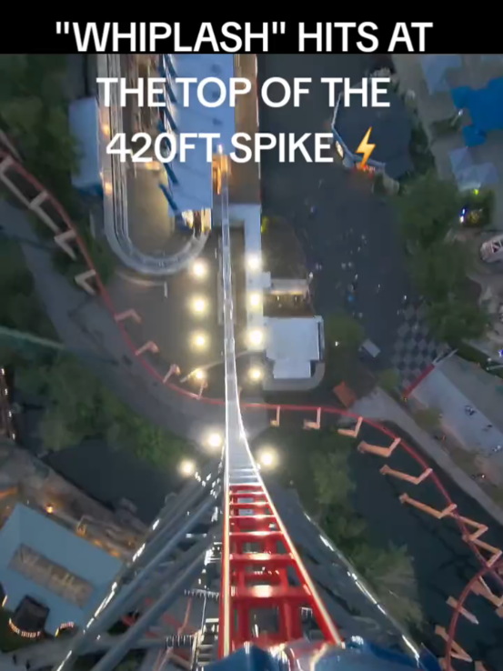 @amusemecoasters