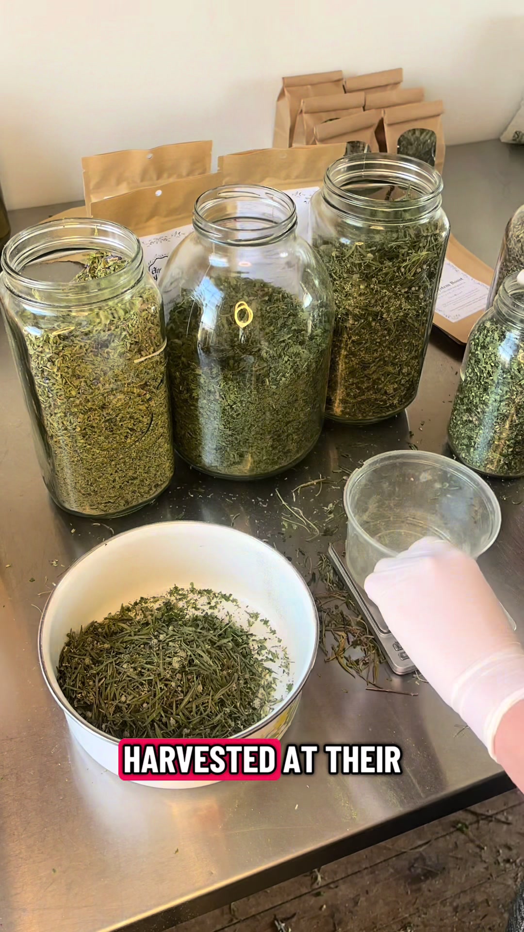 @Ancient herbals
