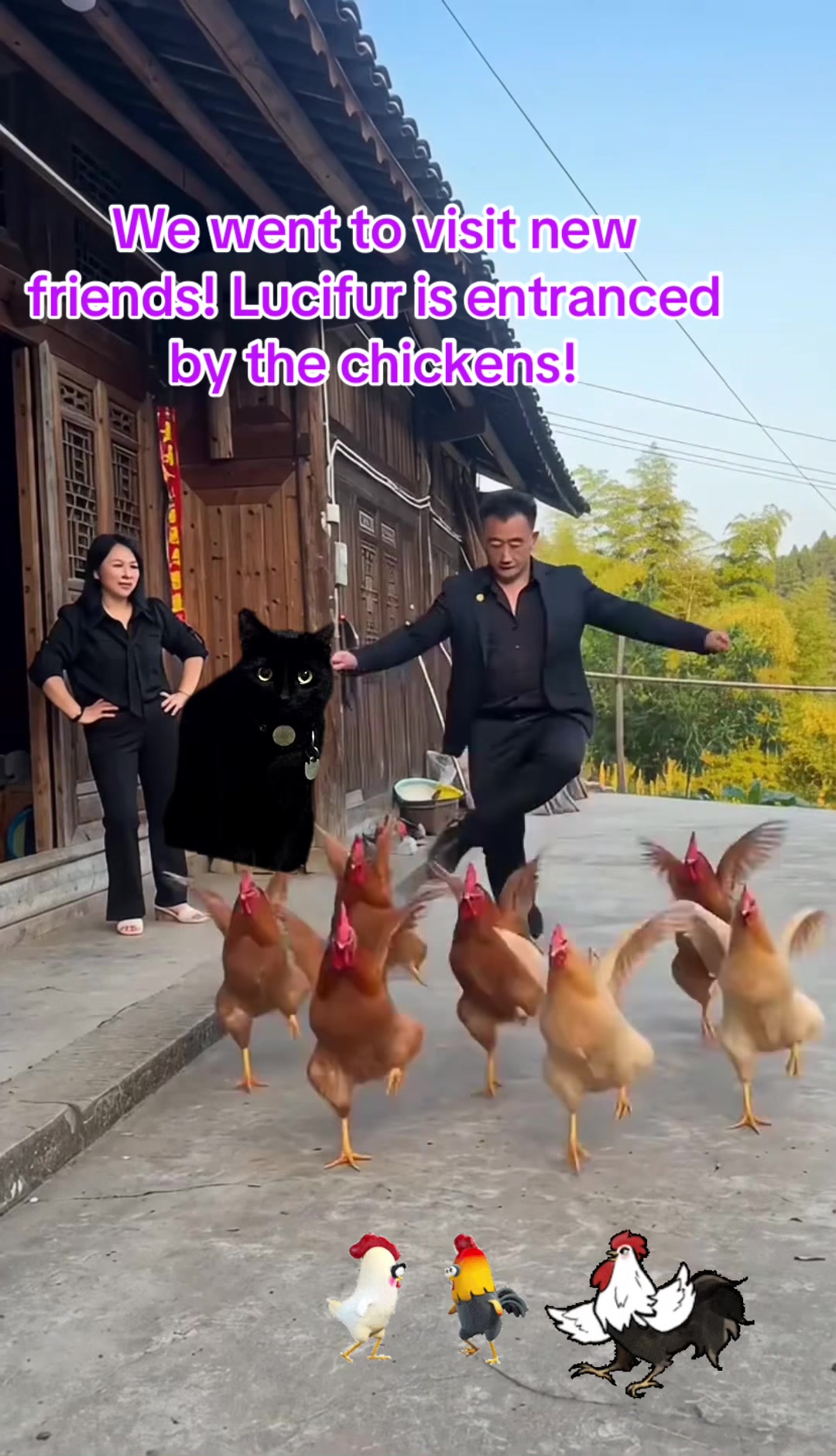 @🐈&zwj;⬛🐈Shelby🐈