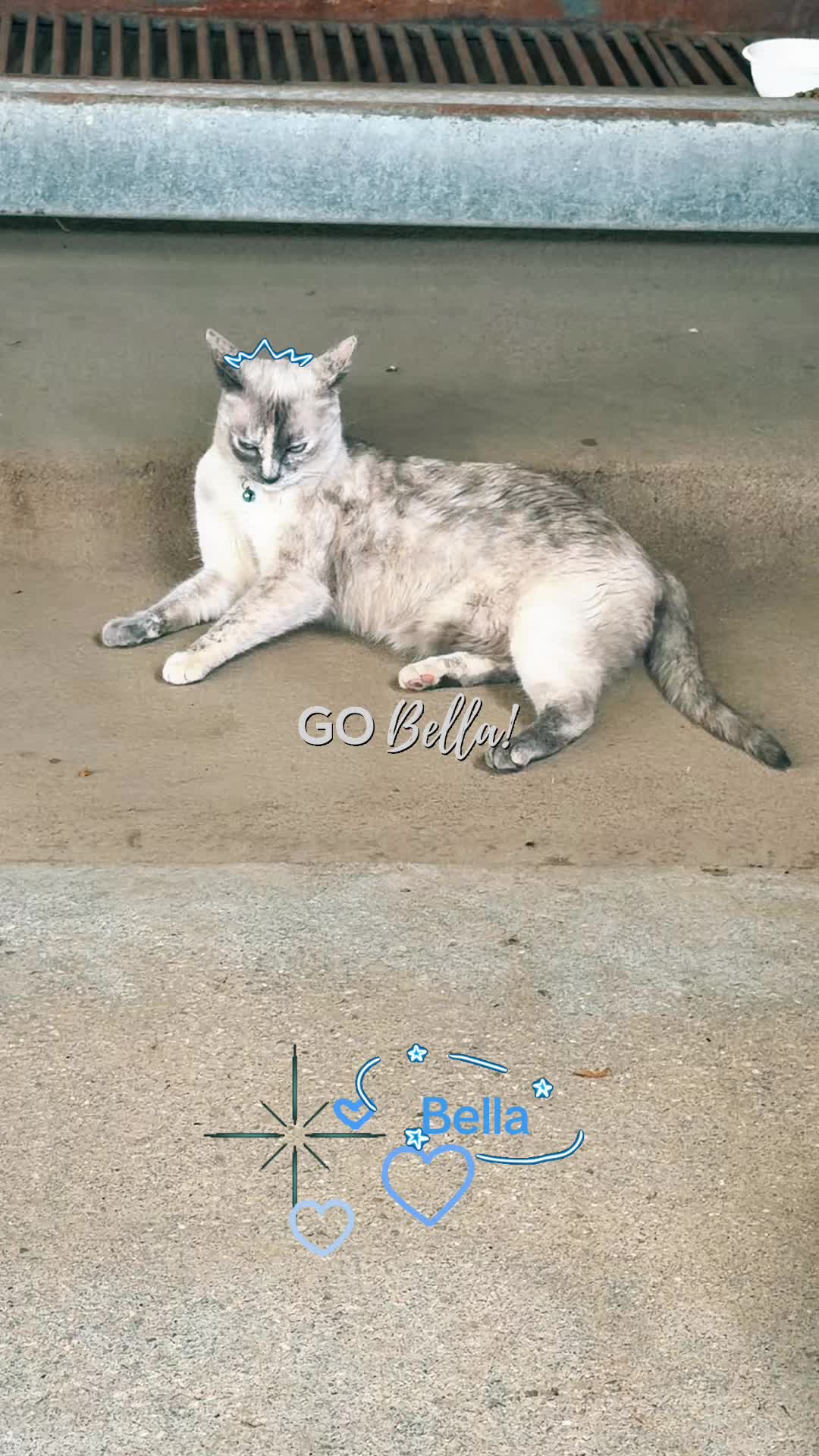 @Amri Gatitos