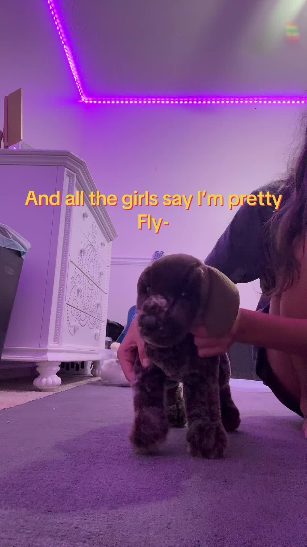 @༺ღ༒ 𝓪𝓻𝓸𝓾𝓻𝓪༒ღ༻