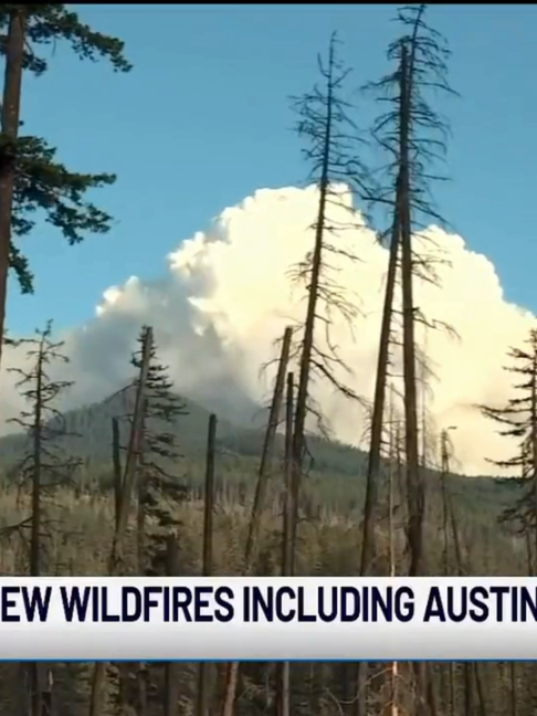 @KPTV FOX 12 Oregon