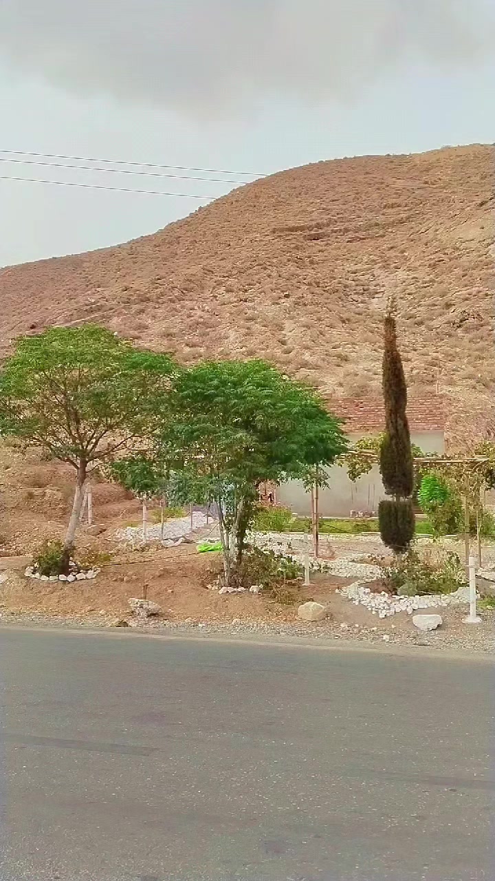 @Muhibkurd115