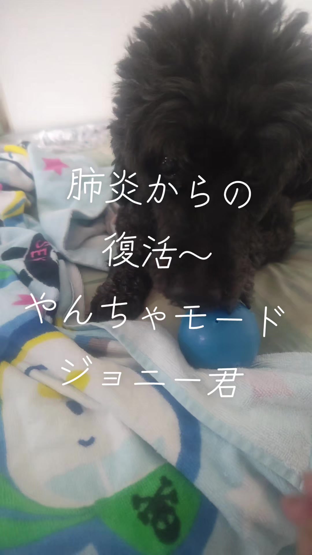 @マジカルな🙄ずんだひろし??