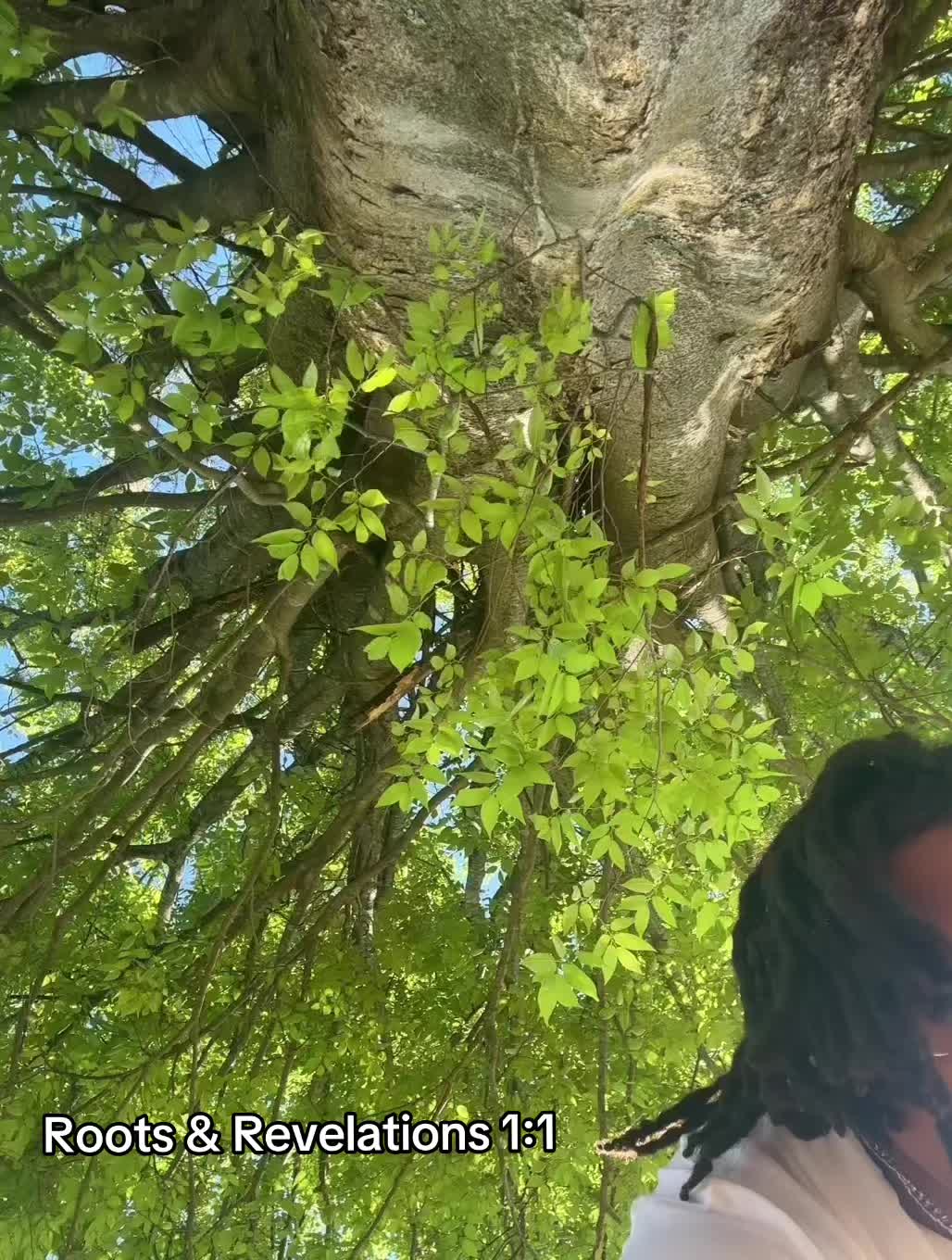 @KayoYouForeign