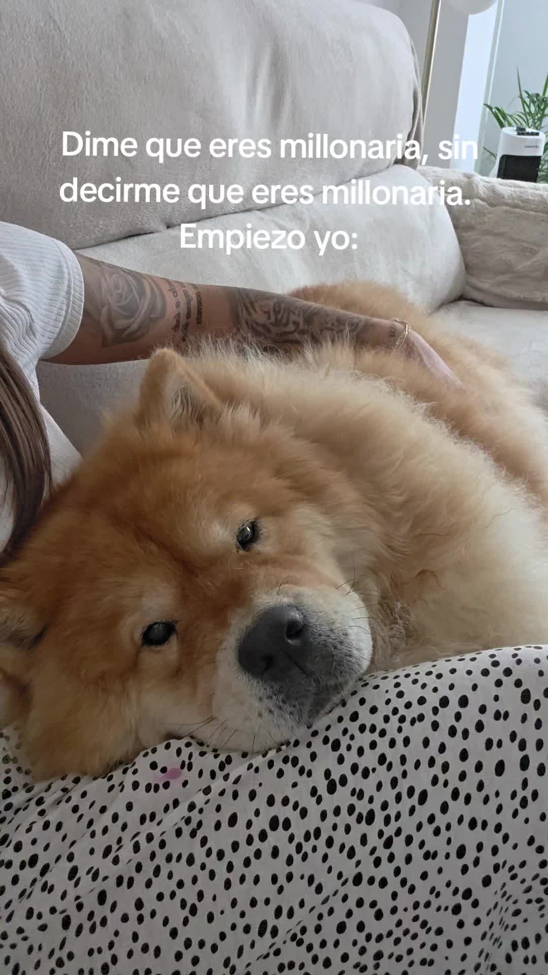 @Kenya y Daddy🐶