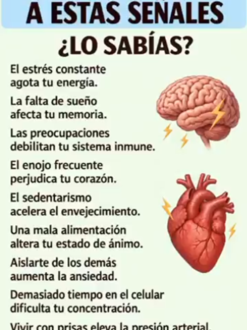 @user8113003307688