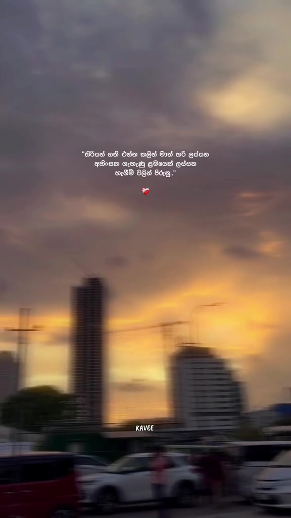 @𝑲 𝑨 𝑽 𝑬 𝑬 🪼