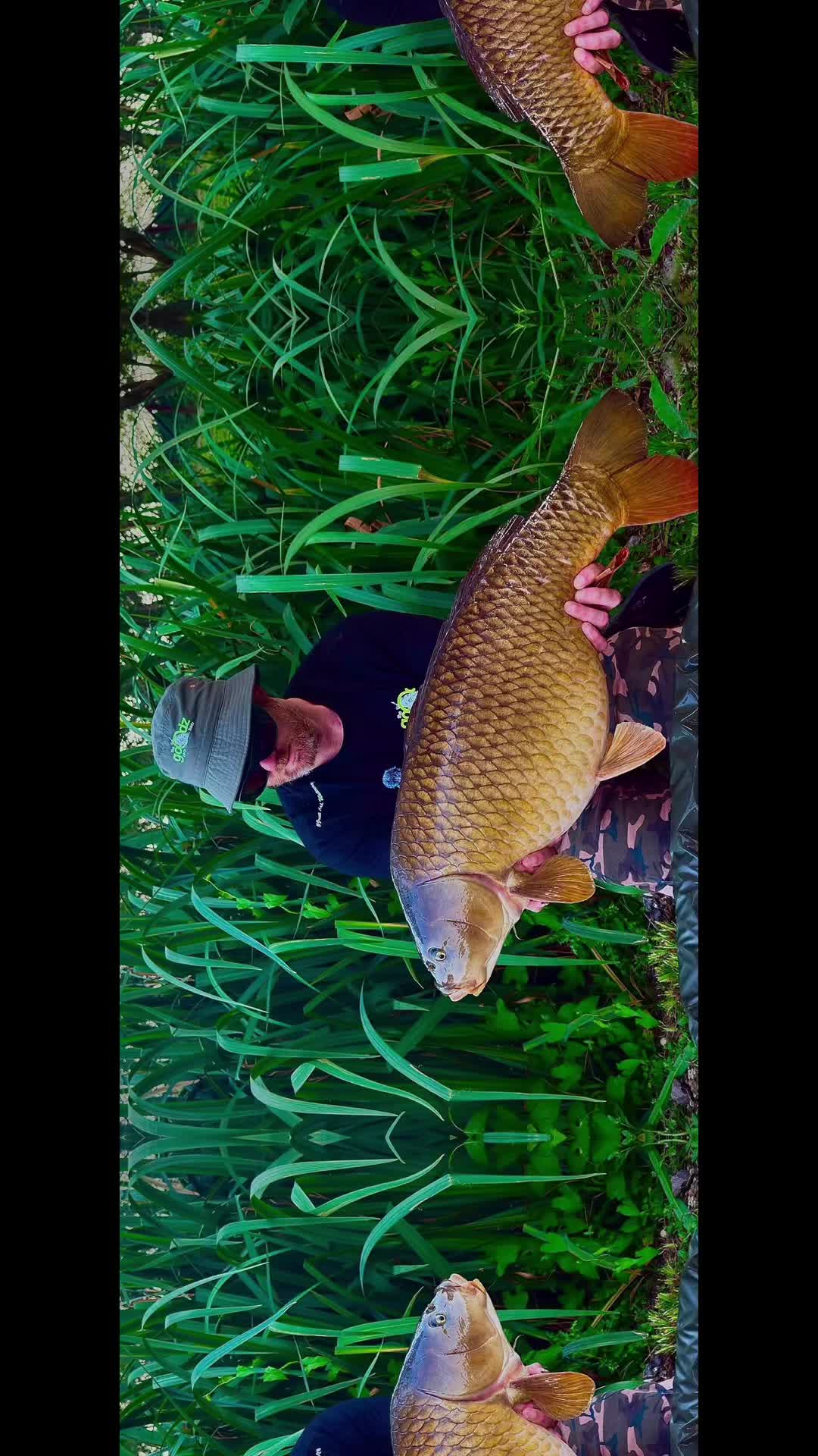 @Goodz Carp Baitz