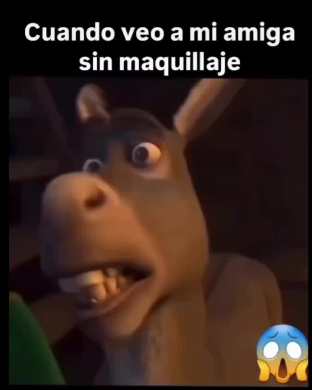 @el panda solitario