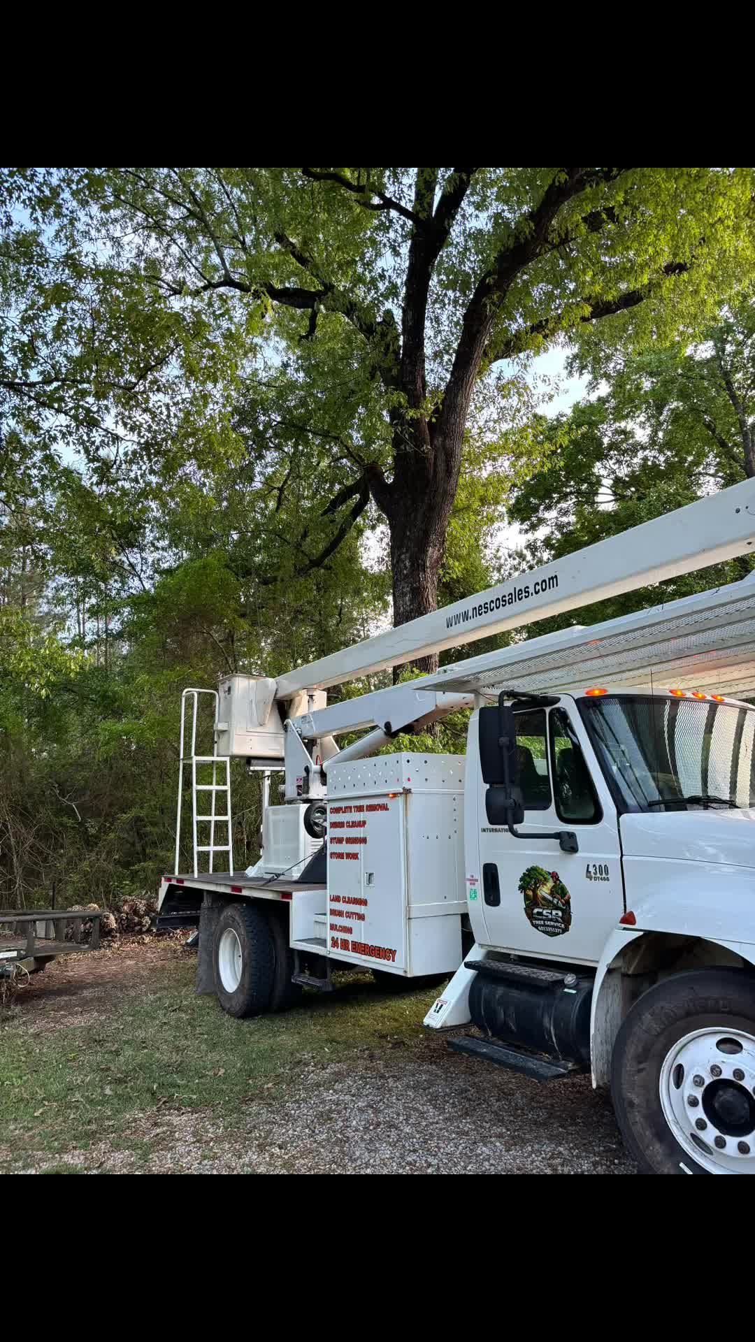 @CSR Tree Service, LLC.