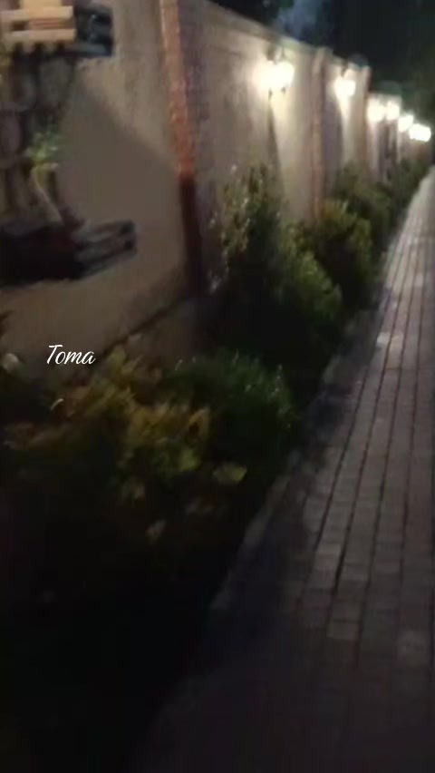@Toma.T