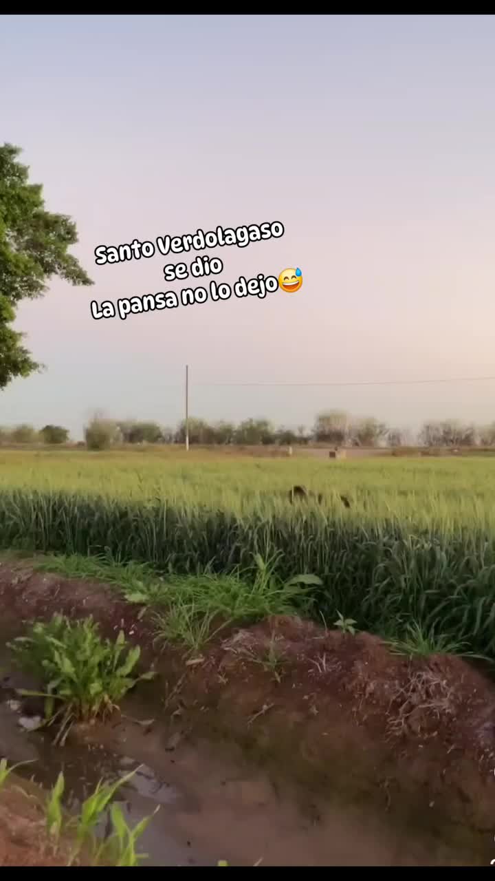 @🌸🍀🌺SOCURI 🌺🍀🌸
