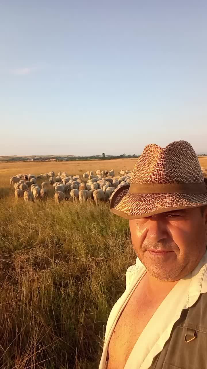 @Claudiu Bistreanu