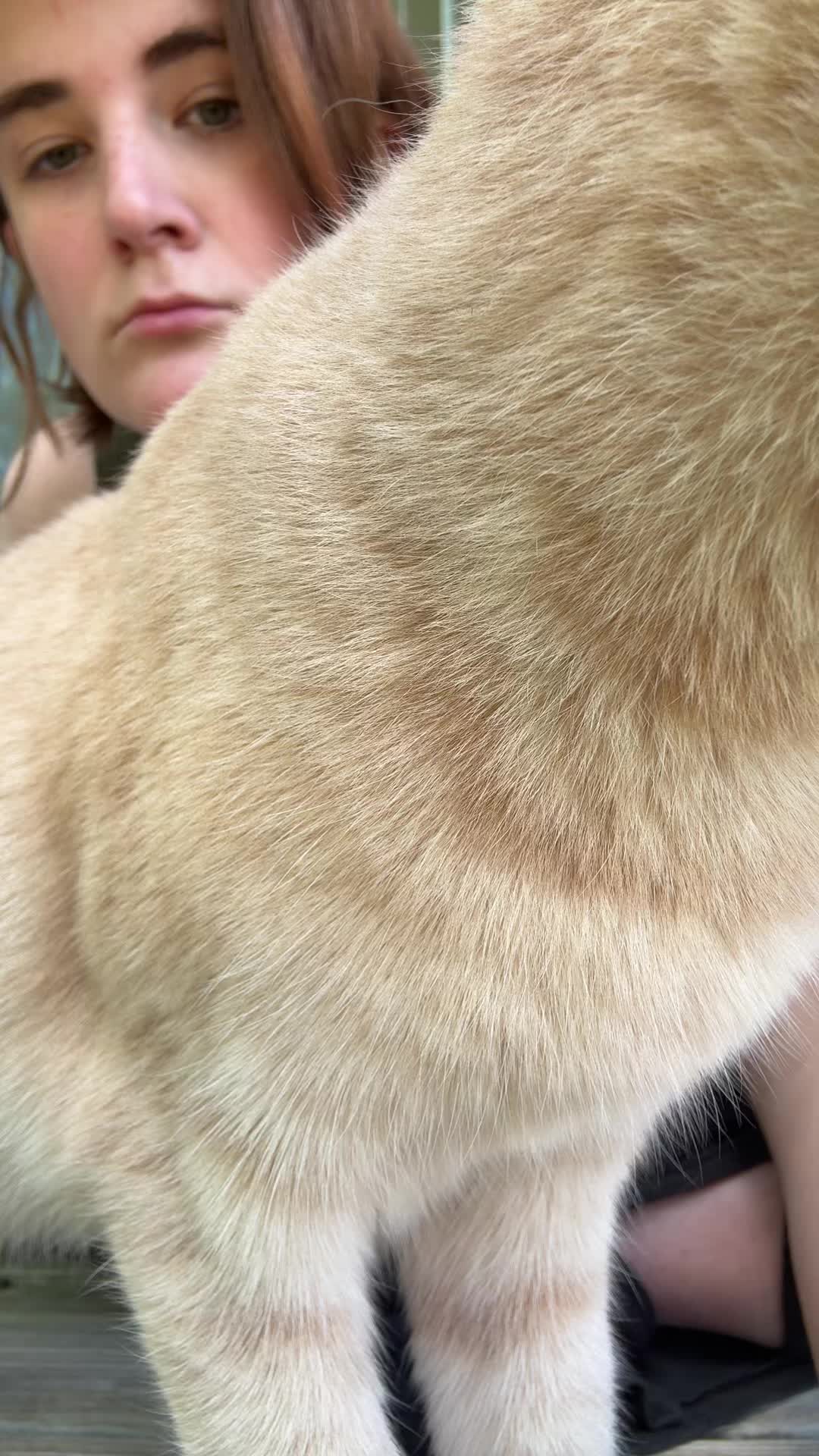 @gaybama_