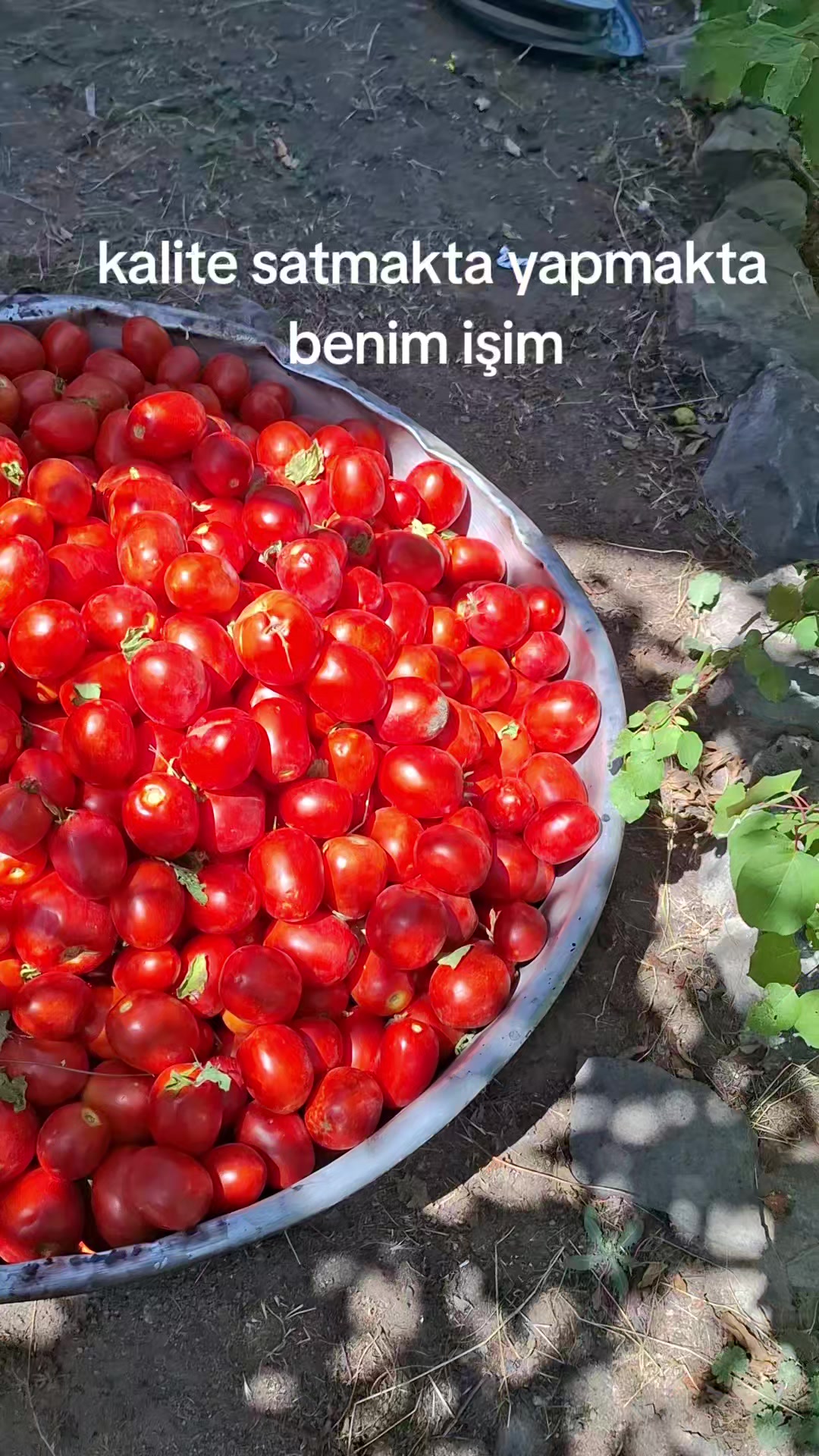 @โก๏ธ___๐ฅ๐ฅMustafa'kaล๐ฅ๐ฅ___โก๏ธ