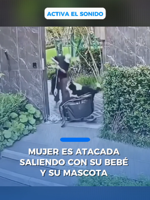 @Periódico El Mexicano