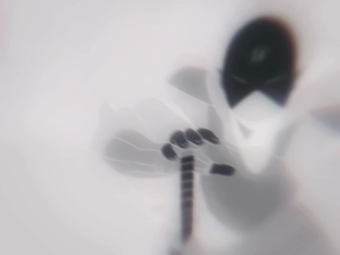@°