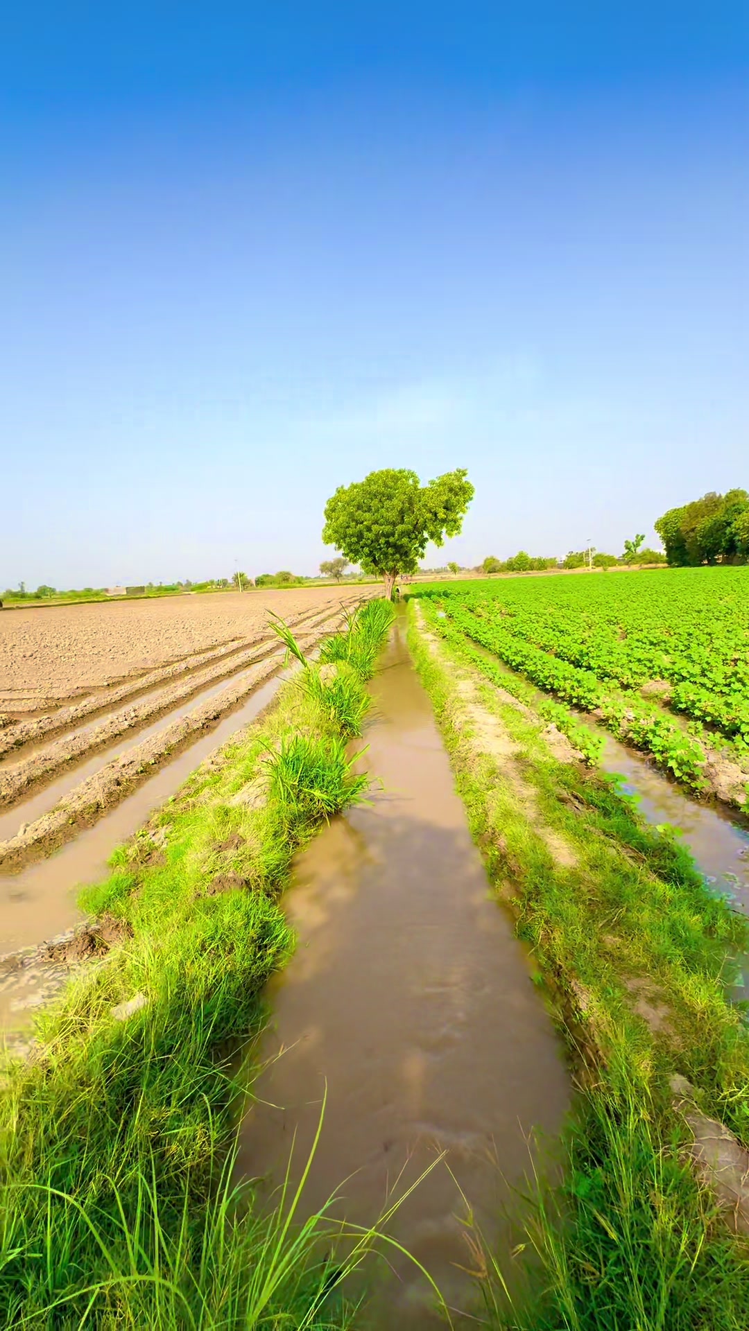 @Mir Hamza Talpur ๐