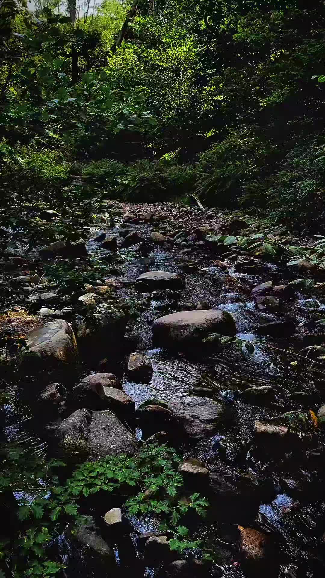 @Whispers of Nature