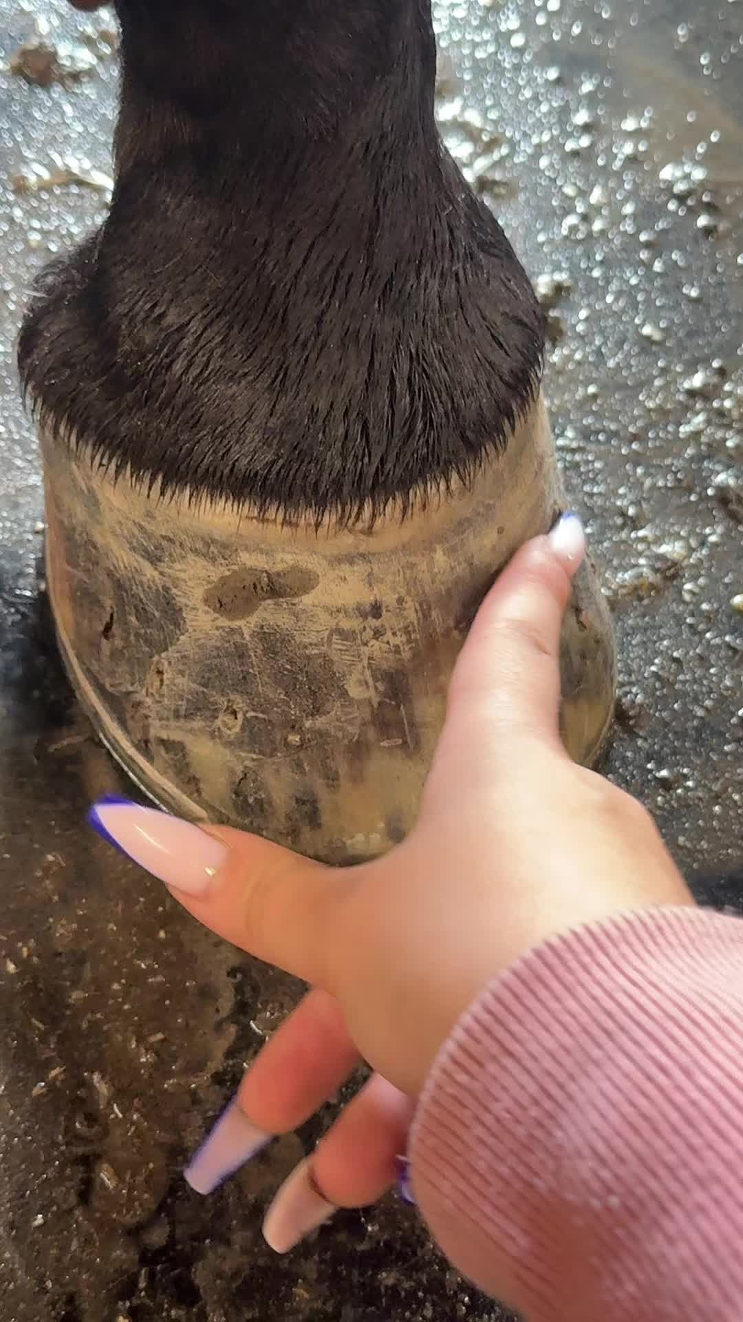 @Josefin🇸🇪