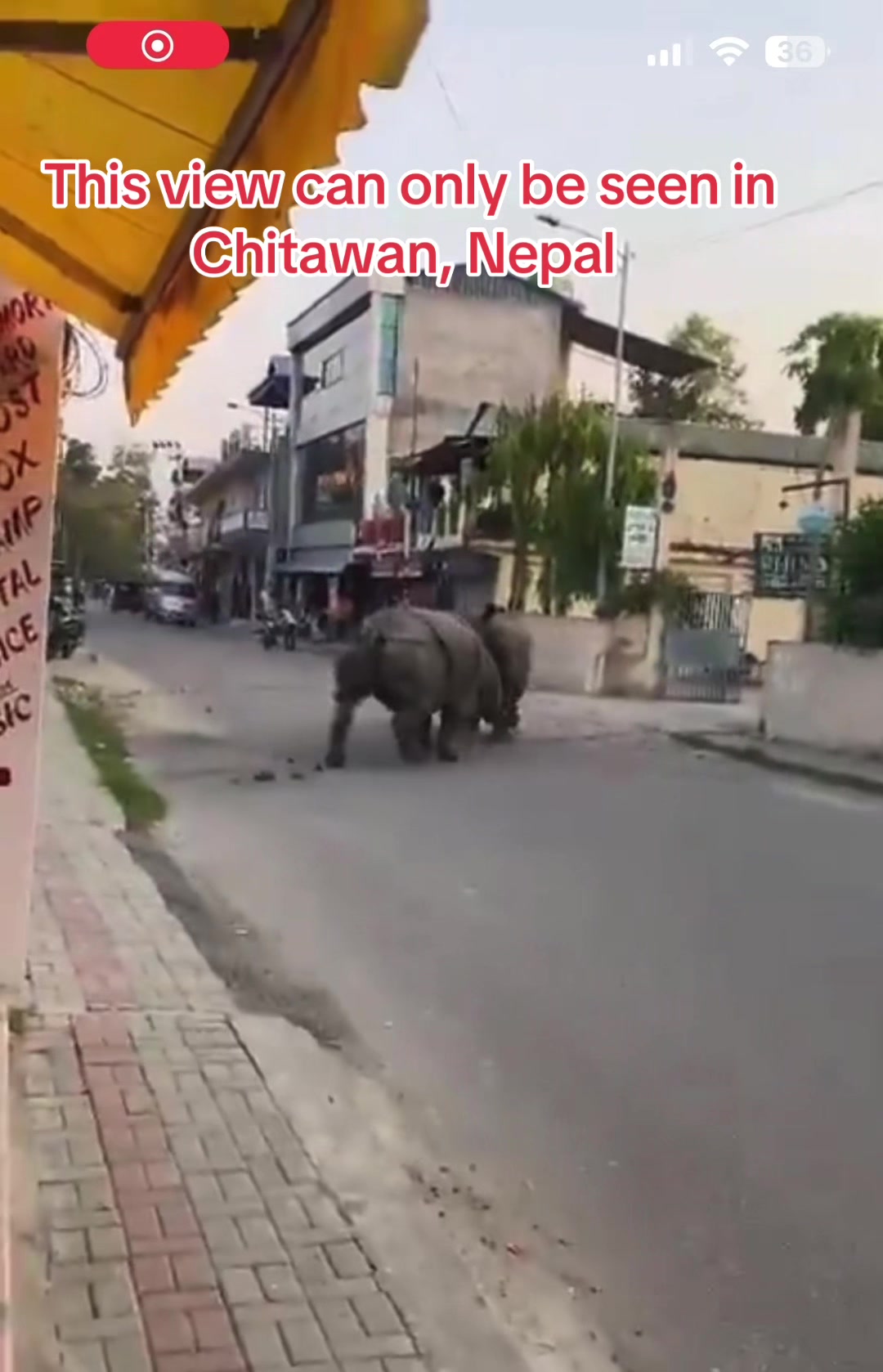 @सरोज भुसाल