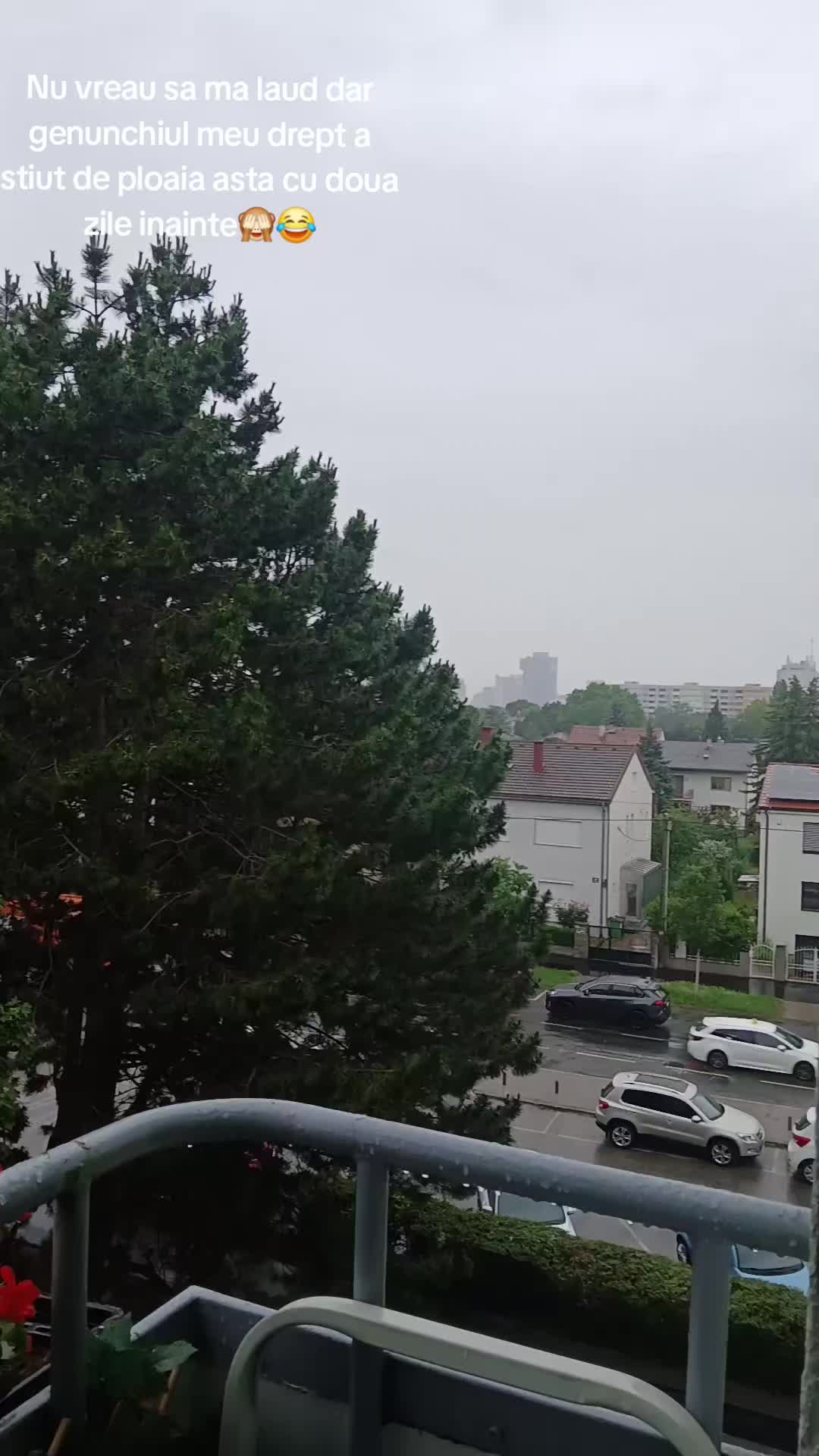 @🇷🇴Lăcry Dihel🪷🇦🇹