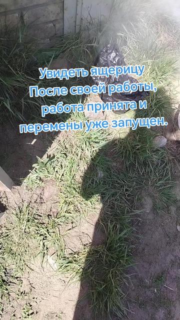 @user9898045074581 Гульнара