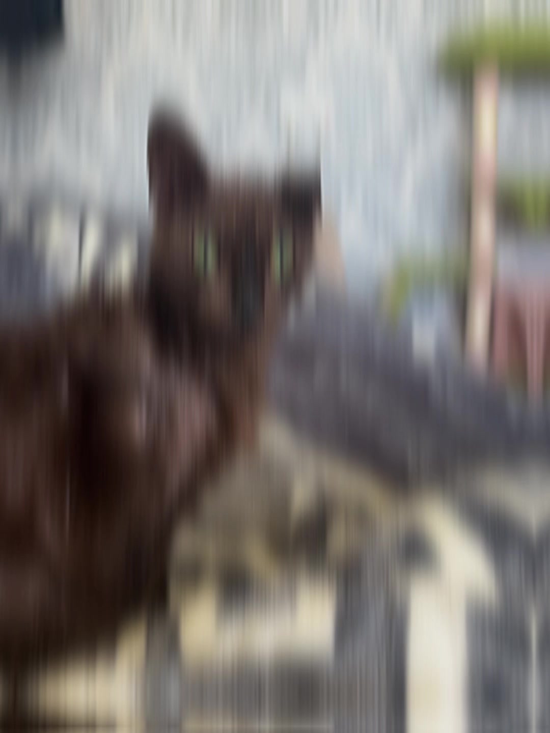 @𝓁𝒾𝓁_𝒸𝑜𝓃𝓃𝑜𝓇003