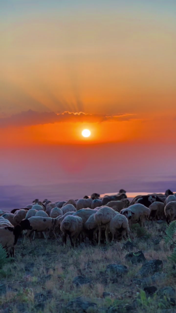@𝗘𝗟İ𝗧 Ş𝗜𝗪𝗔𝗡☀️